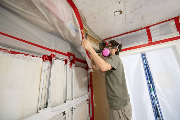 Mold Documentation for Insurance Claims in Ramsey, NJ