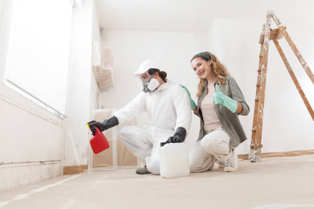 Best Black Mold Removal  in Ramsey, NJ